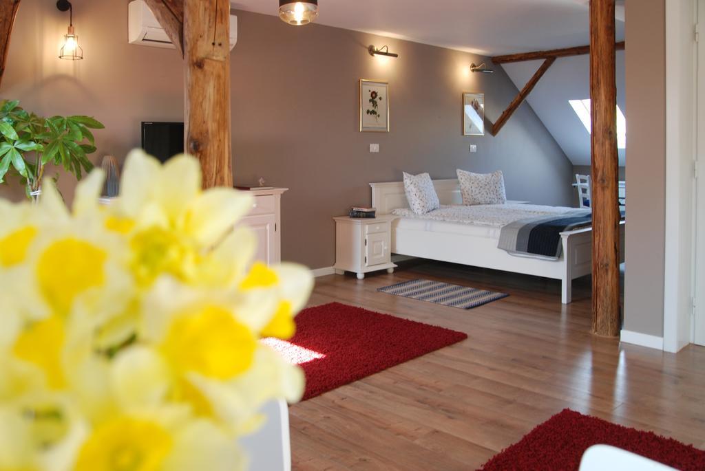 House * Timişoara